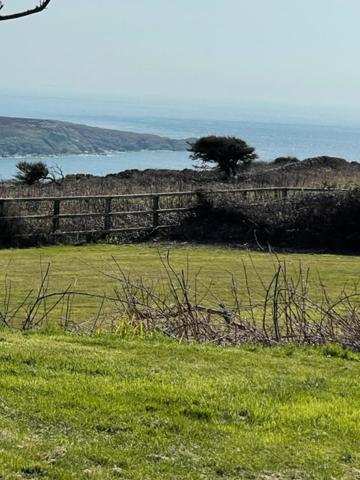 The Little Garden Hideaway With Stunning Sea Views And Garden Bed and Breakfast Holyhead Exteriör bild